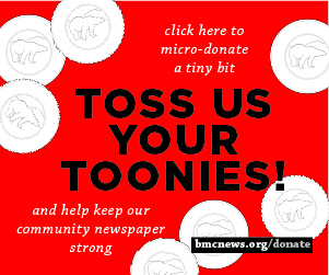 Toss Toonies - rectangle